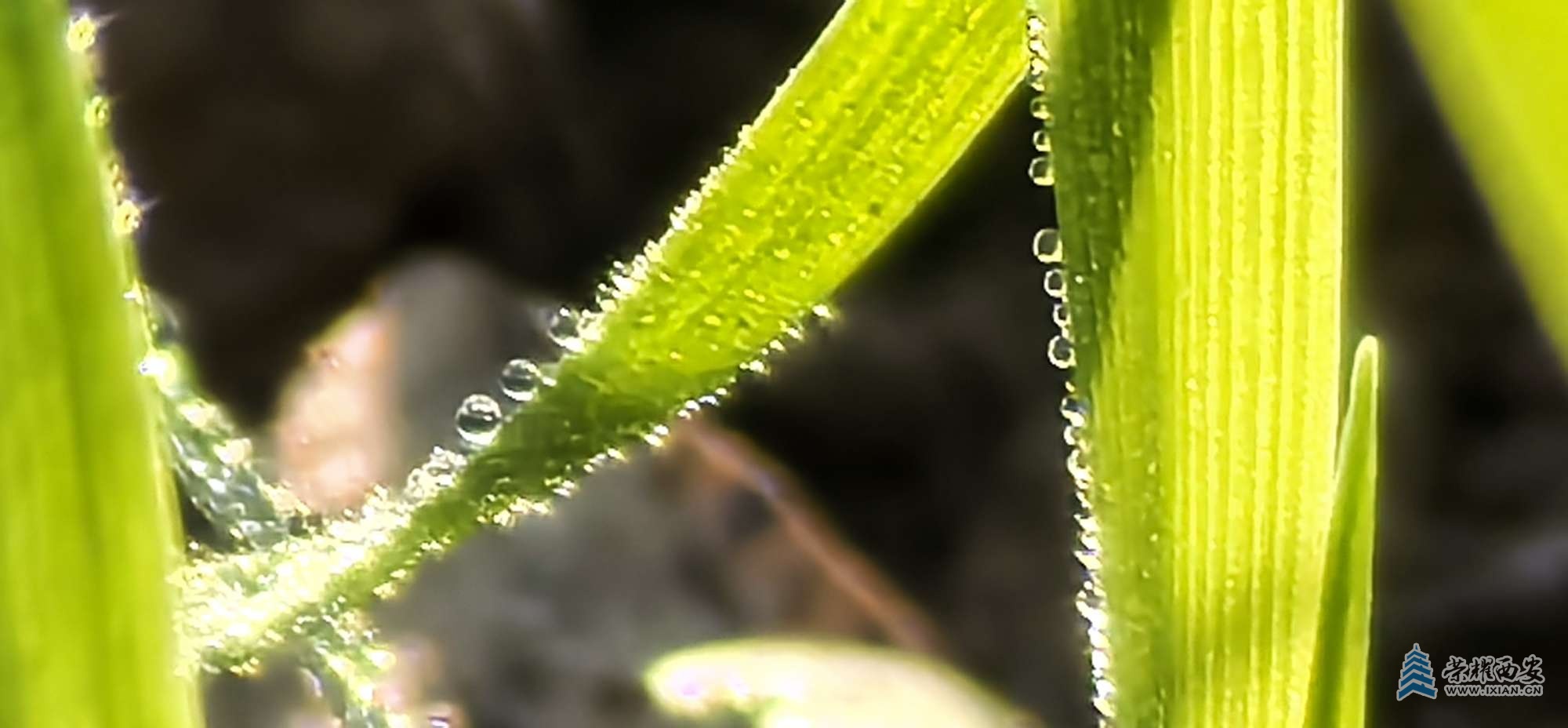 20231101100017front2_0_566948_FluXCNXPJcR4f7ZlzdLocnzAN3Pp.jpg