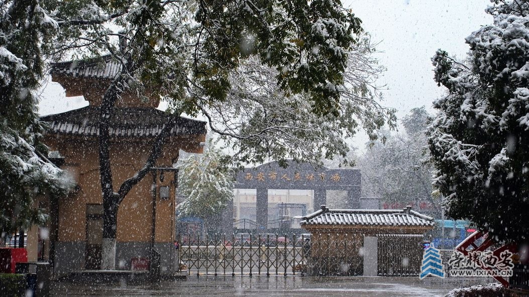 西安大雪5.JPG