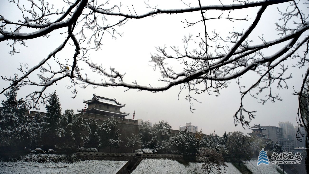 西安大雪7.JPG
