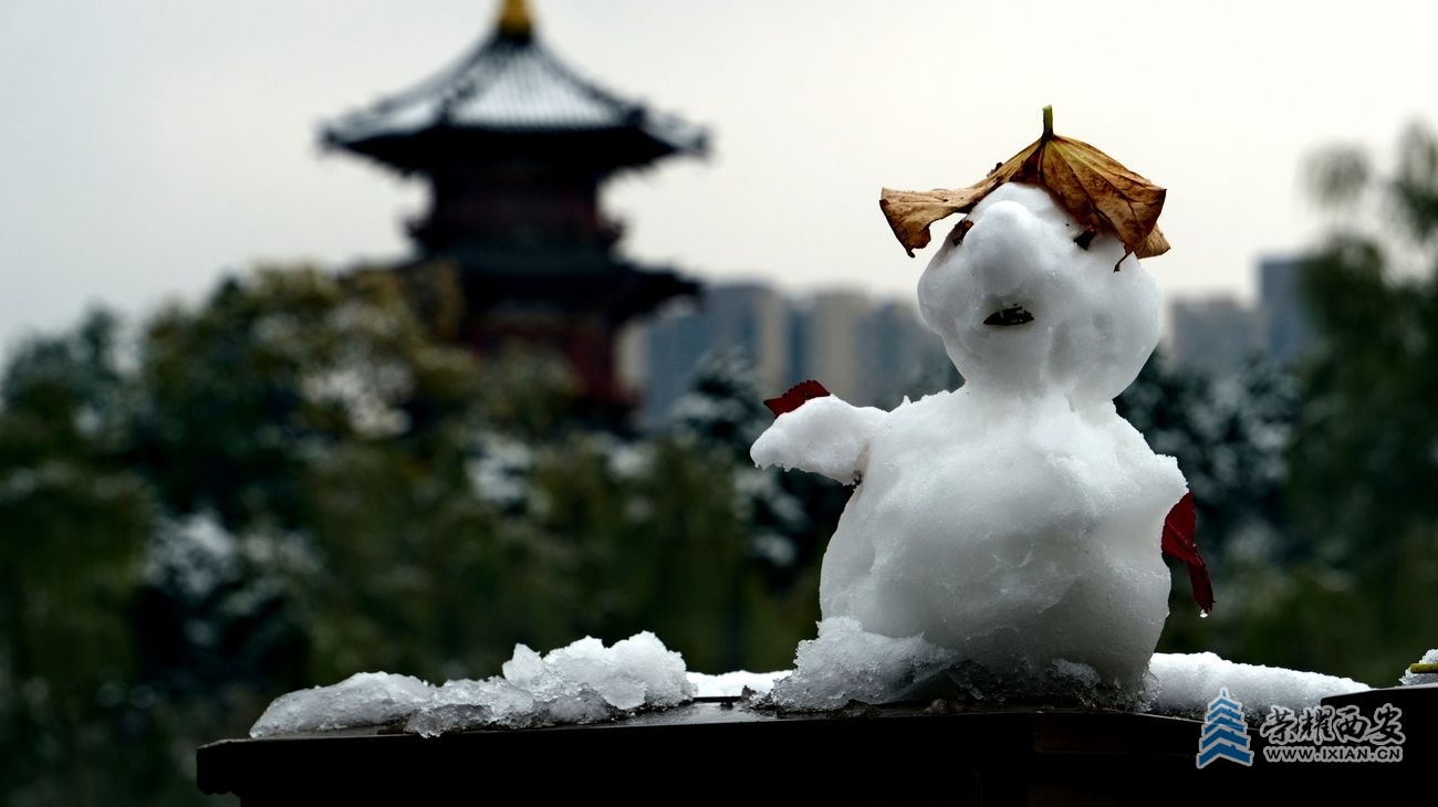 西安大雪32.JPG