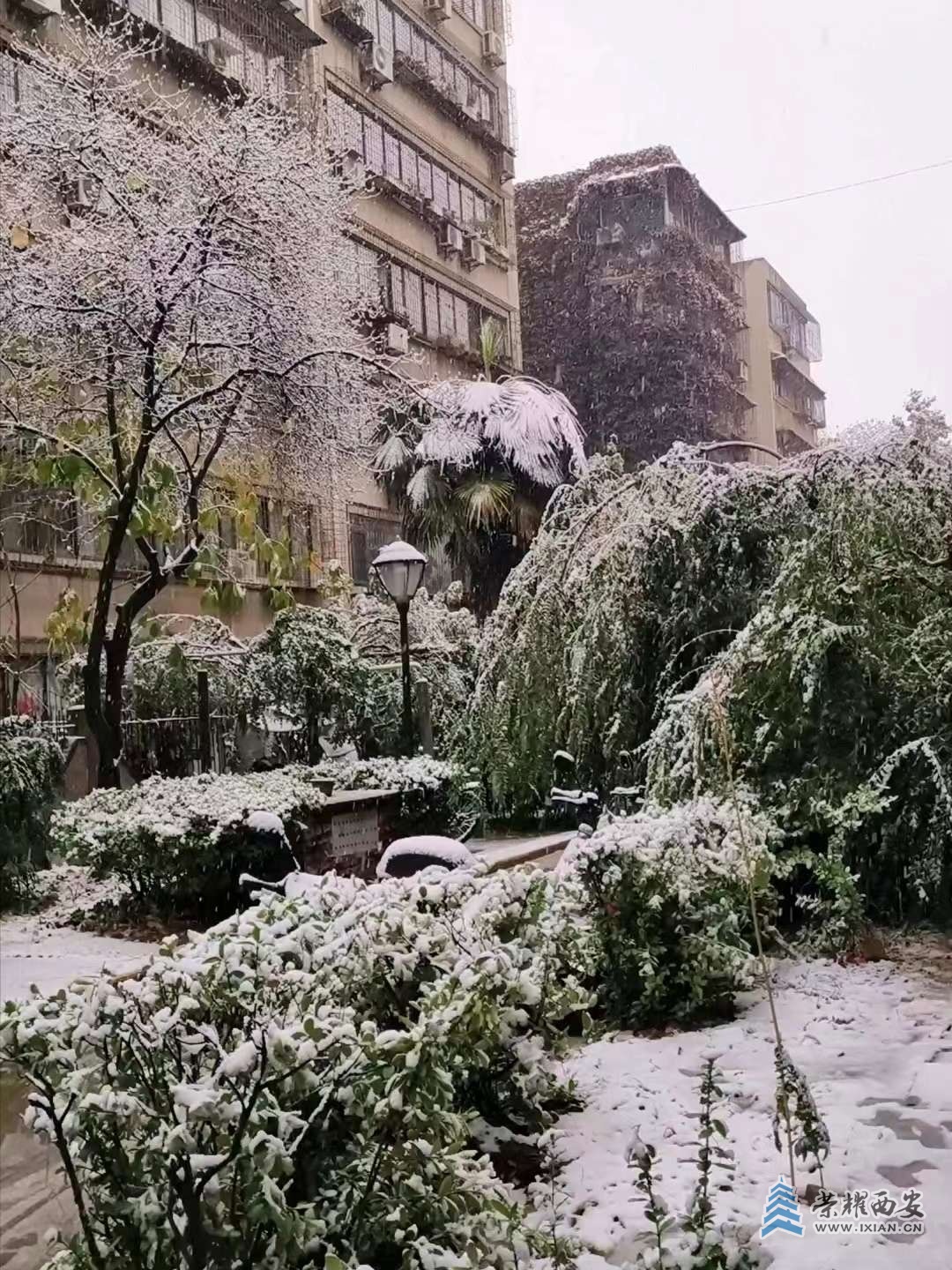 随手拍拍小区雪景