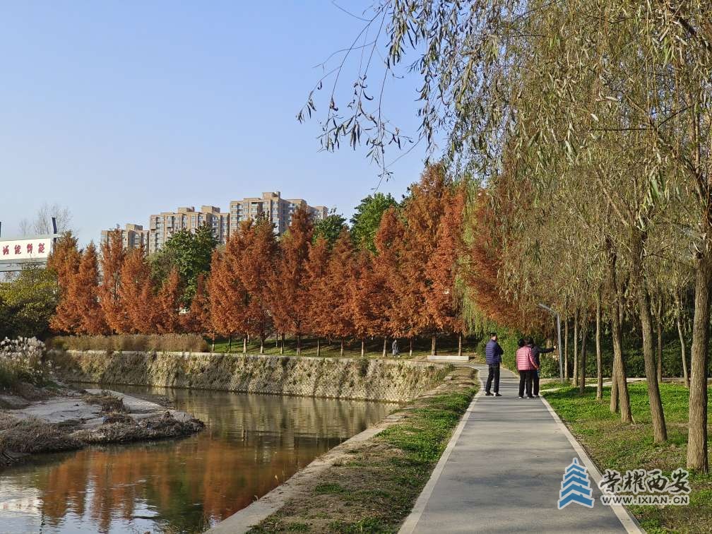 西安樊川公园图片