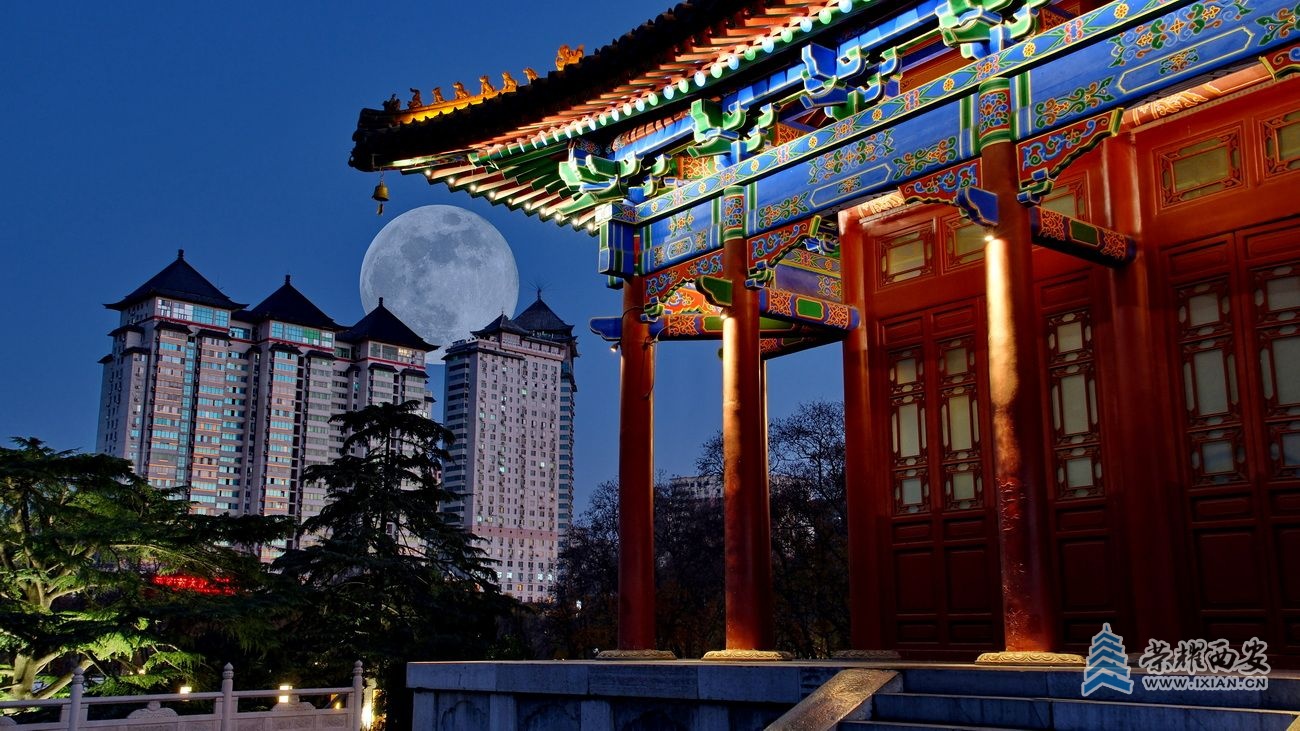 兴庆公园10.JPG