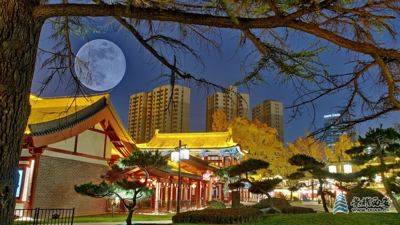 兴庆公园14.JPG