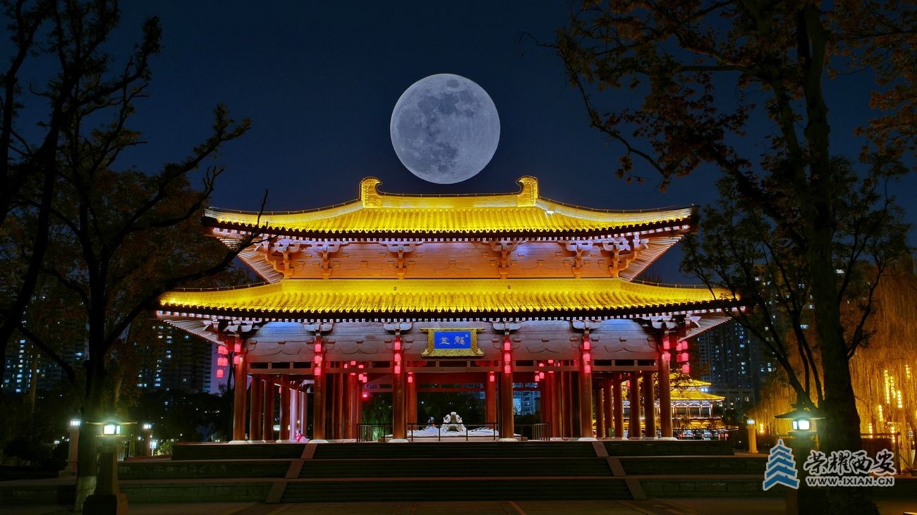 兴庆公园45.JPG