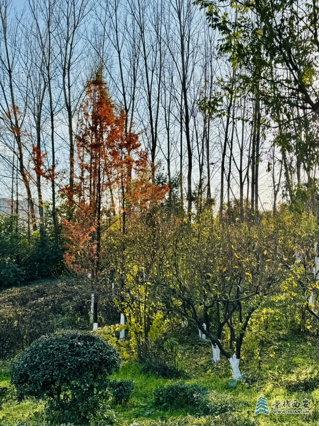 20231129165406front1_0_625313_FqCiT-kJsh9Yo4fJ7ZU0-YPunTxA.jpg