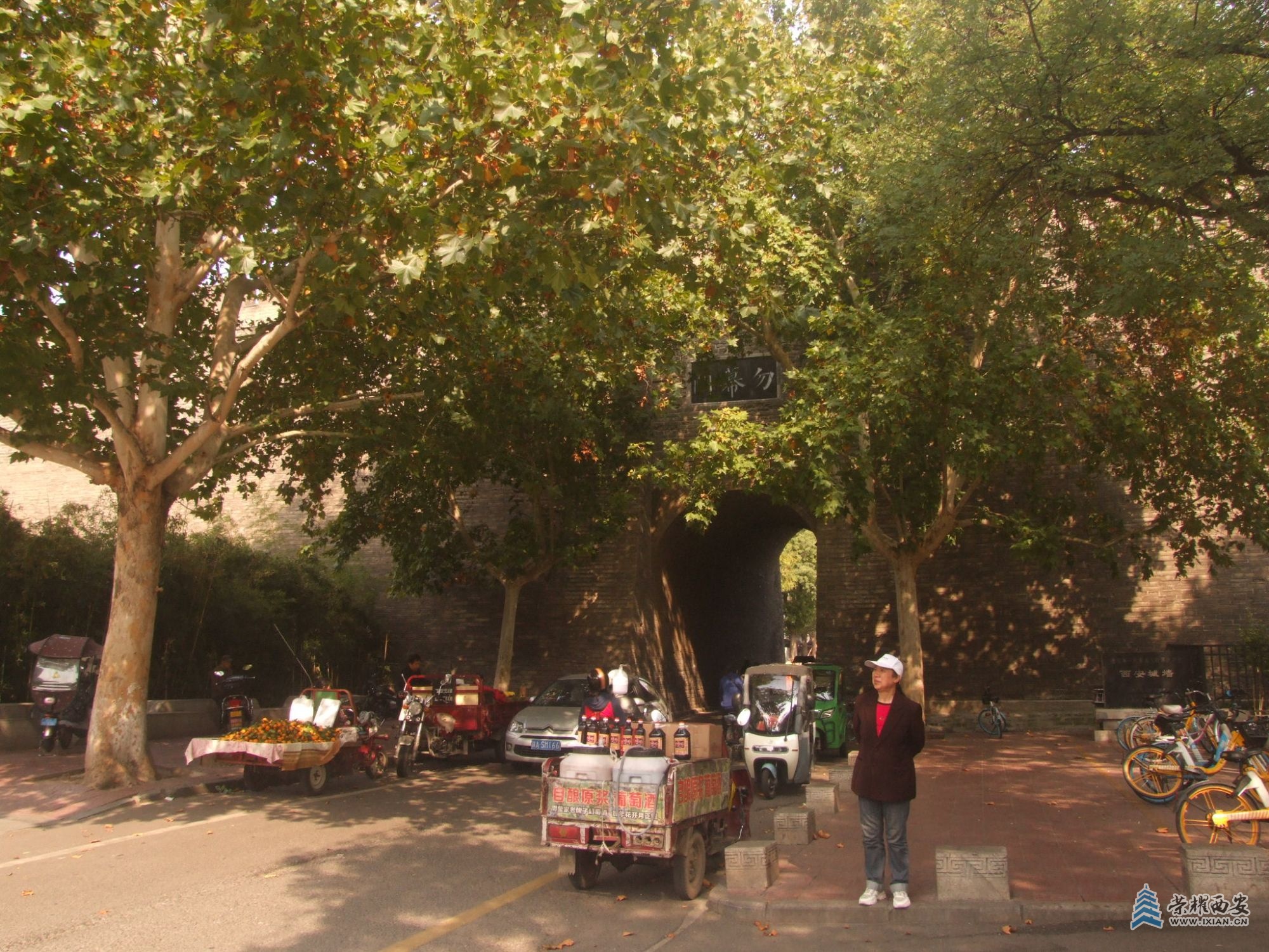 DSCF8335.JPG
