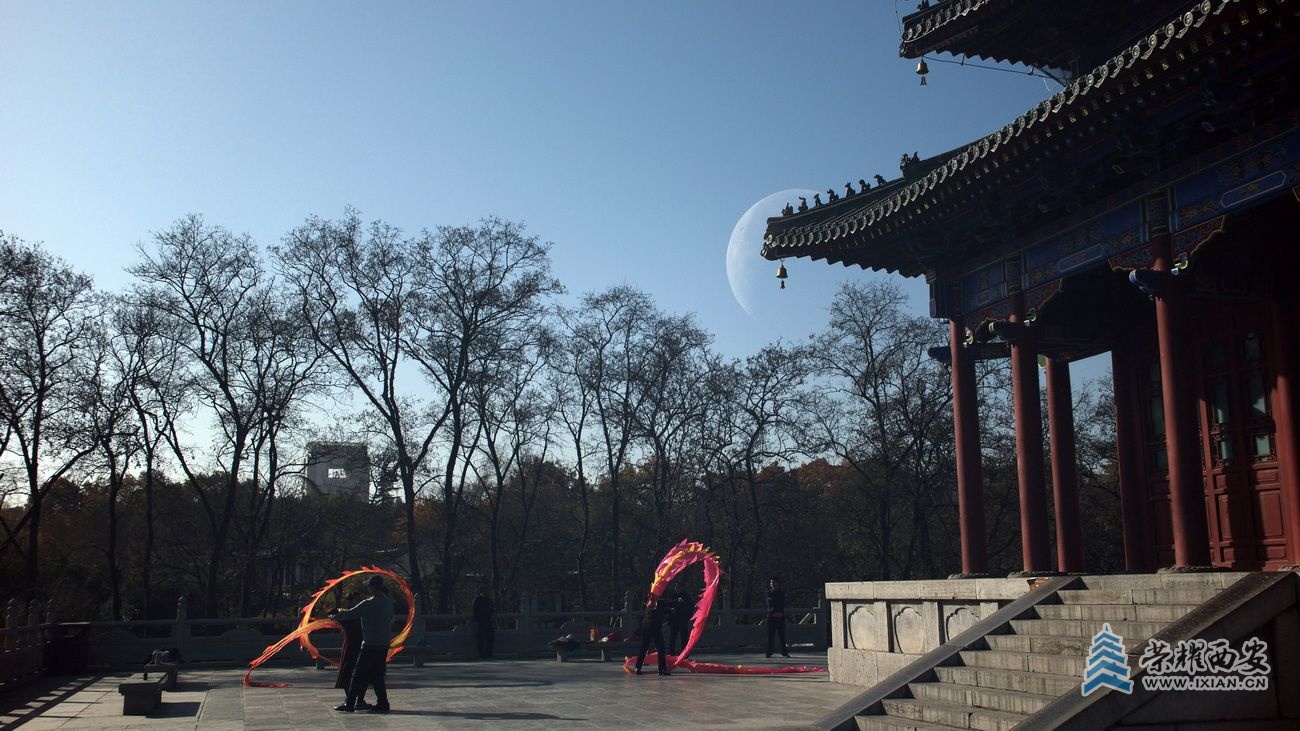 兴庆公园32.JPG