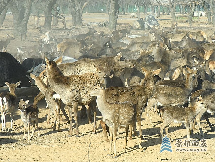 DSC_4099_副本.jpg