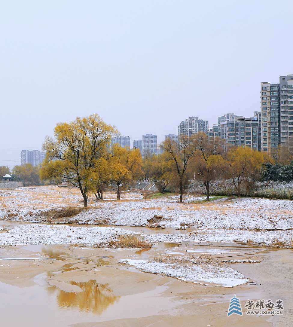 落雪的浐河 图说西安|荣耀西安网|西安论坛-西安