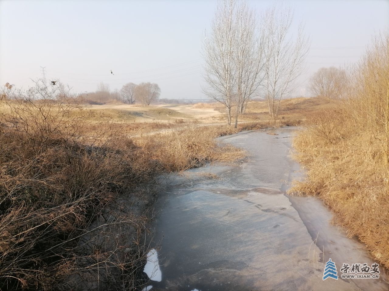 20231226052220front2_0_473708_FnlouVlGUO2DE1aLp7_QH3YhbYB1.jpg