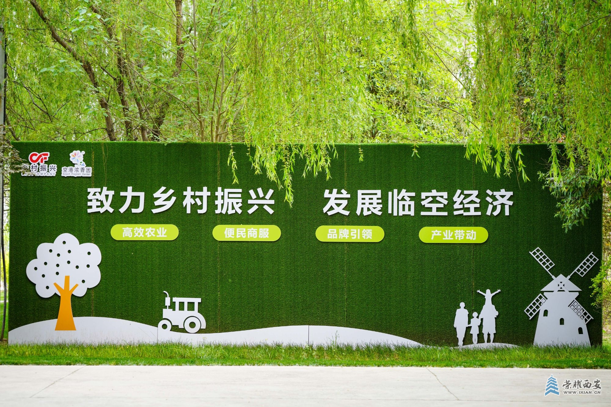 DSC08580.jpg