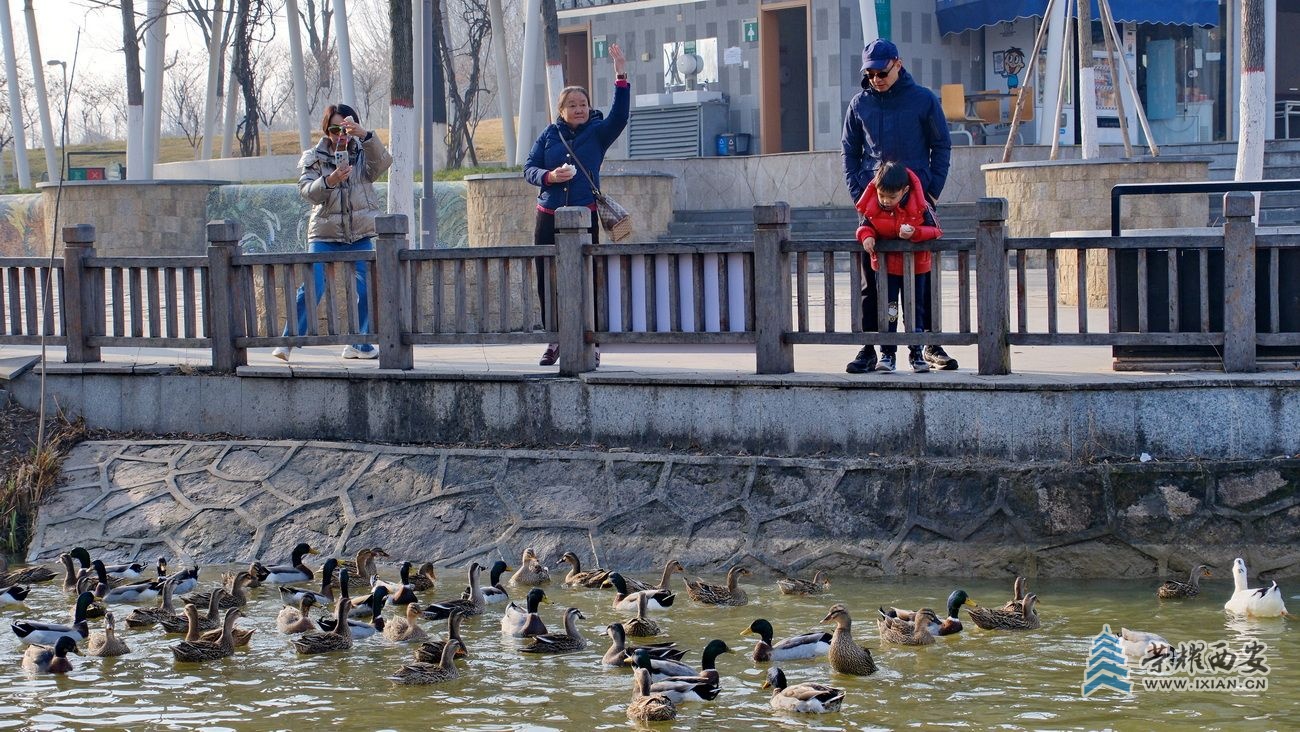 浐灞国家湿地公园0023.JPG