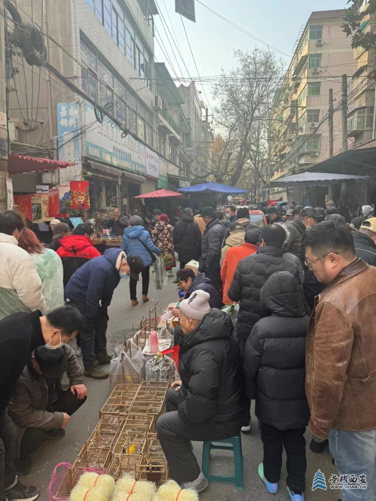 微信图片_20240116172124.jpg