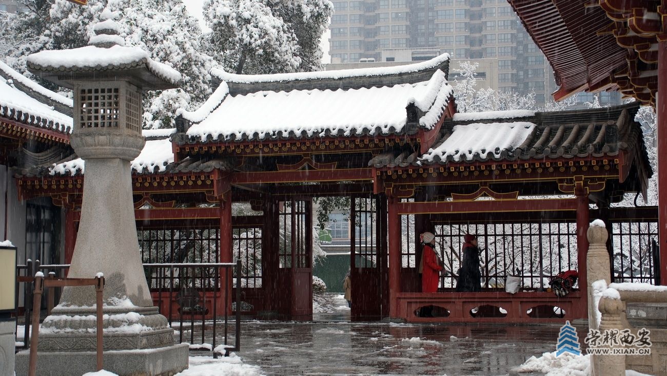 兴庆公园雪景F43.JPG