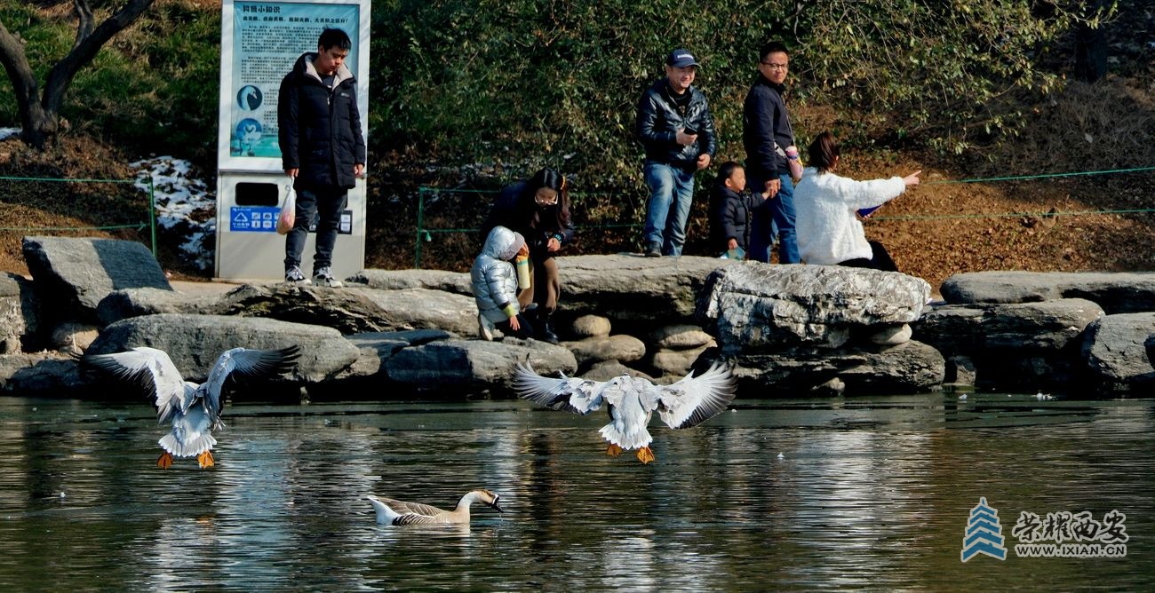 秦岭野生动物园49.JPG