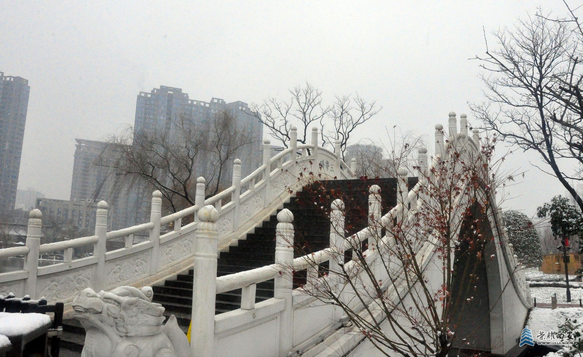 DSC_0914.JPG