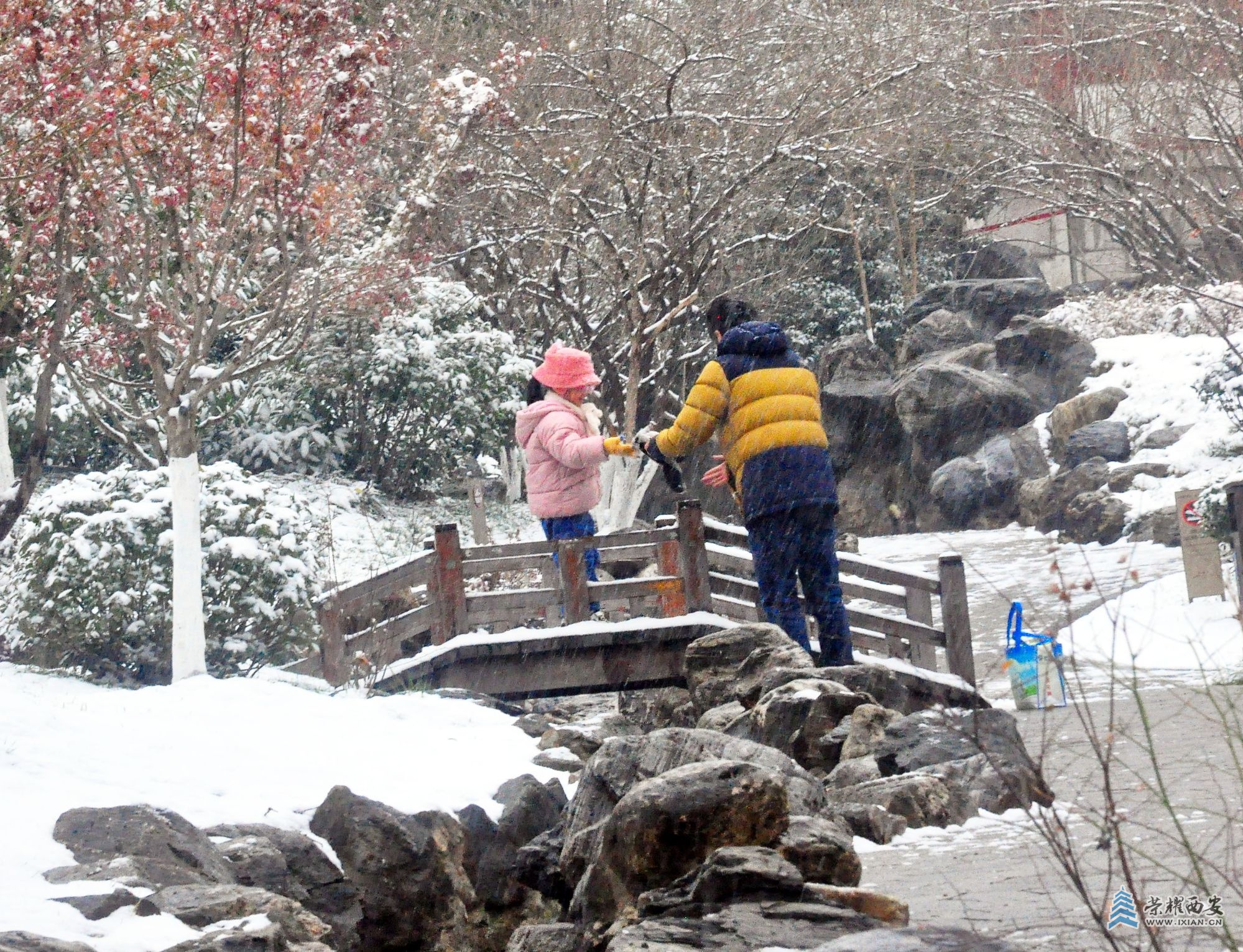 DSC_0921.JPG