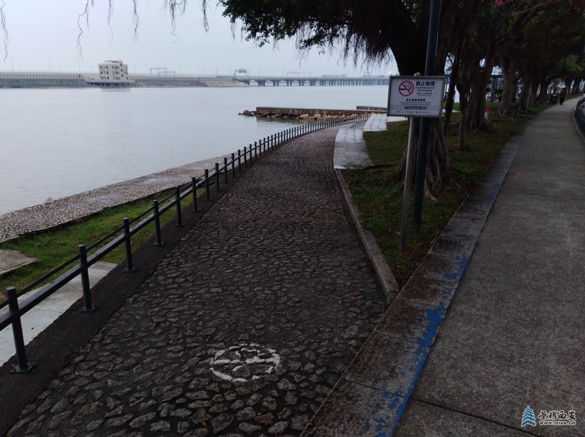 20181021.064234.jpg