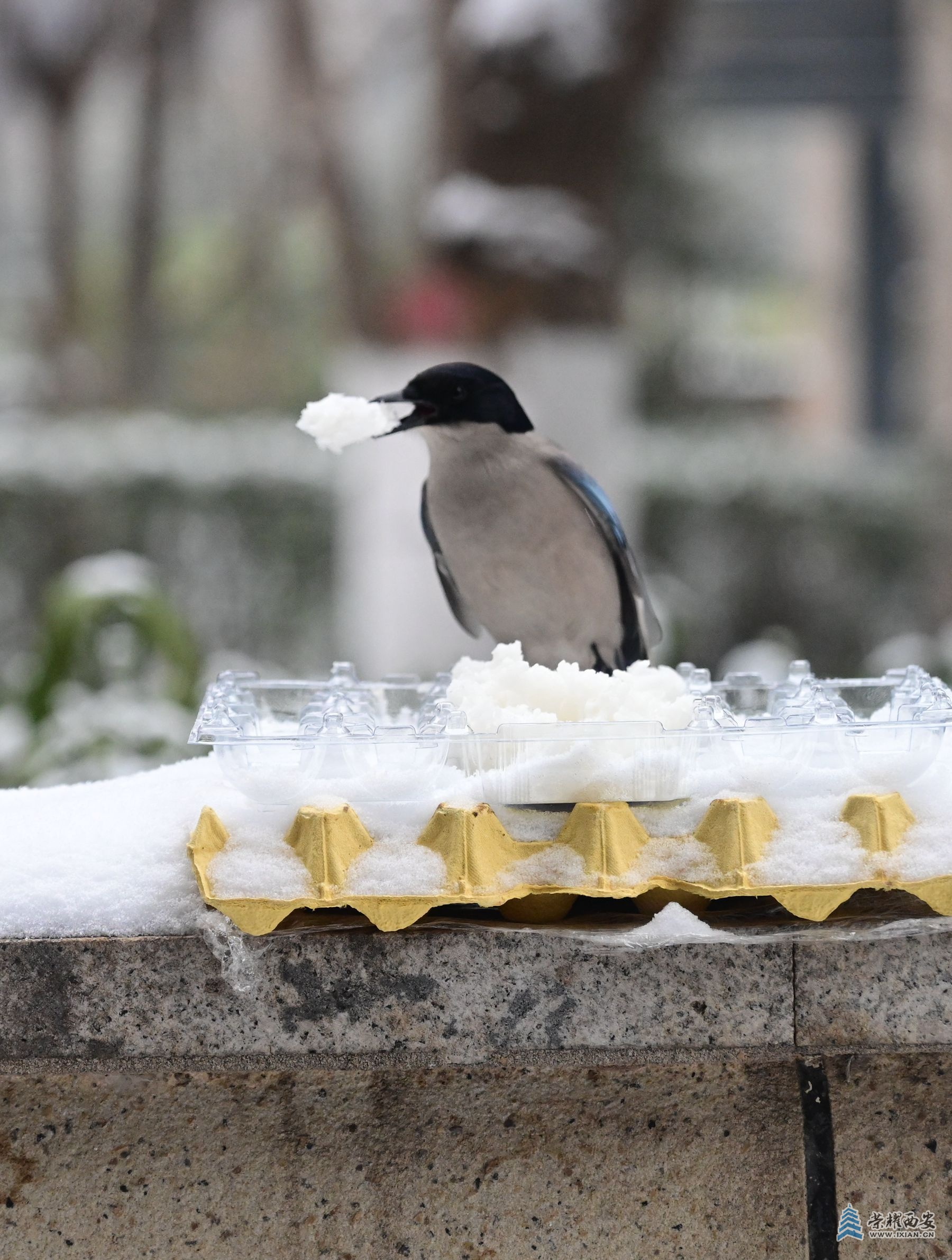 DSC_7598_副本.jpg