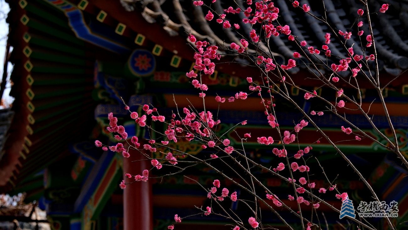 兴庆公园042.JPG