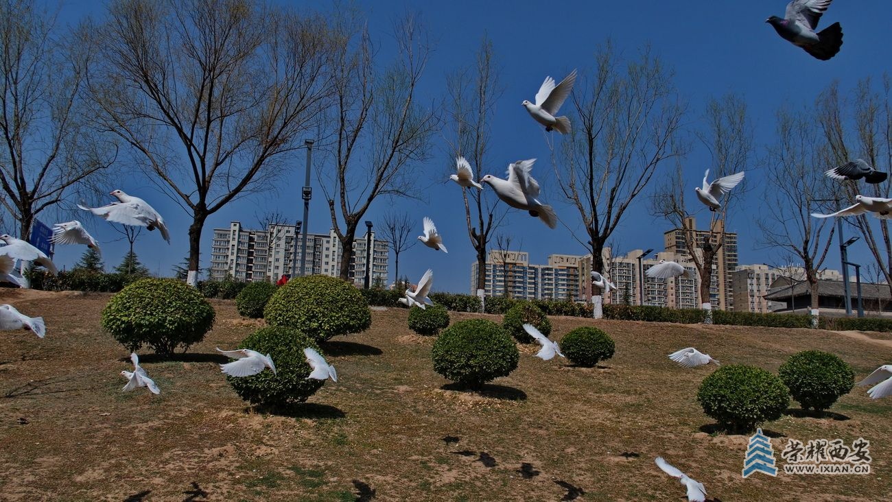 咸阳0003.JPG