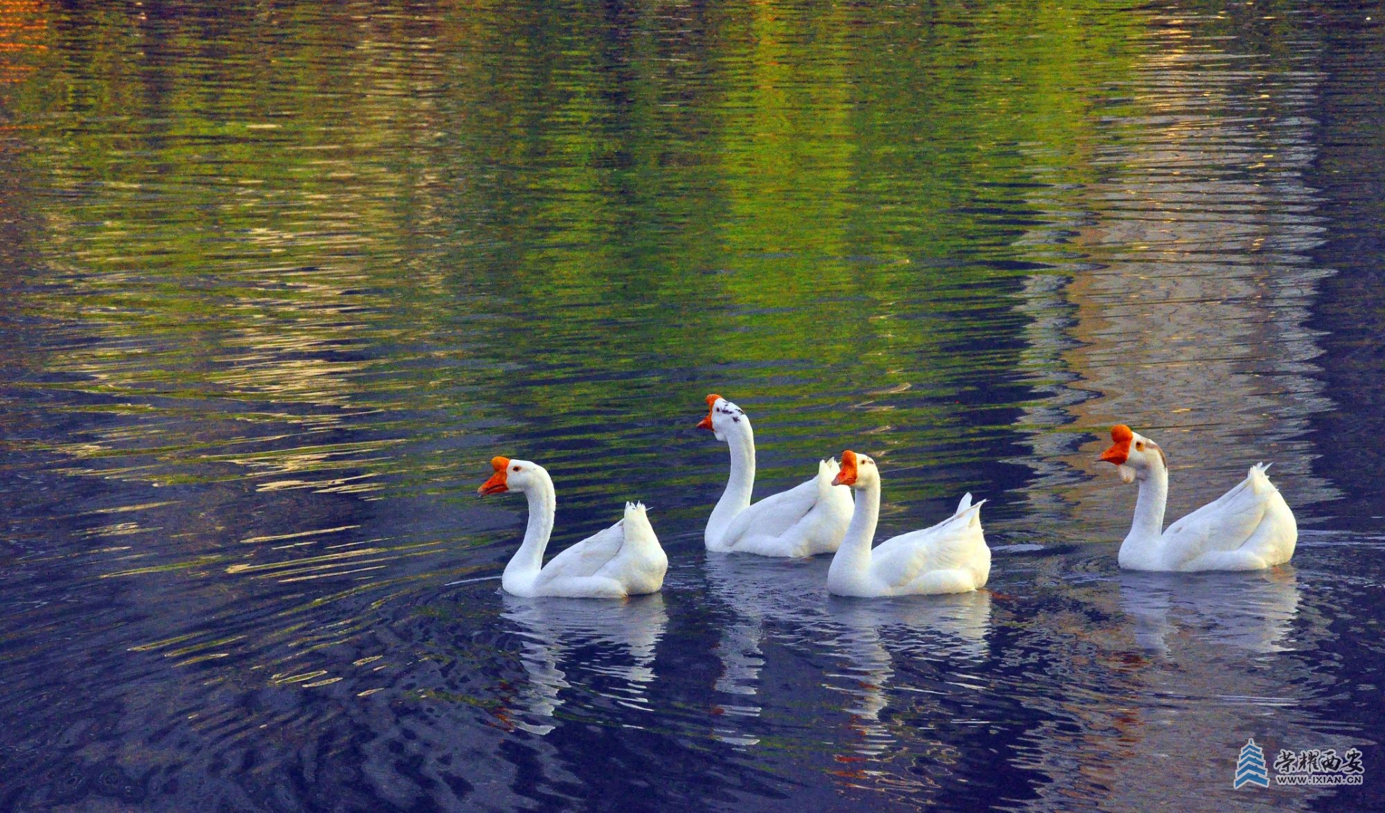 DSC_0025.JPG