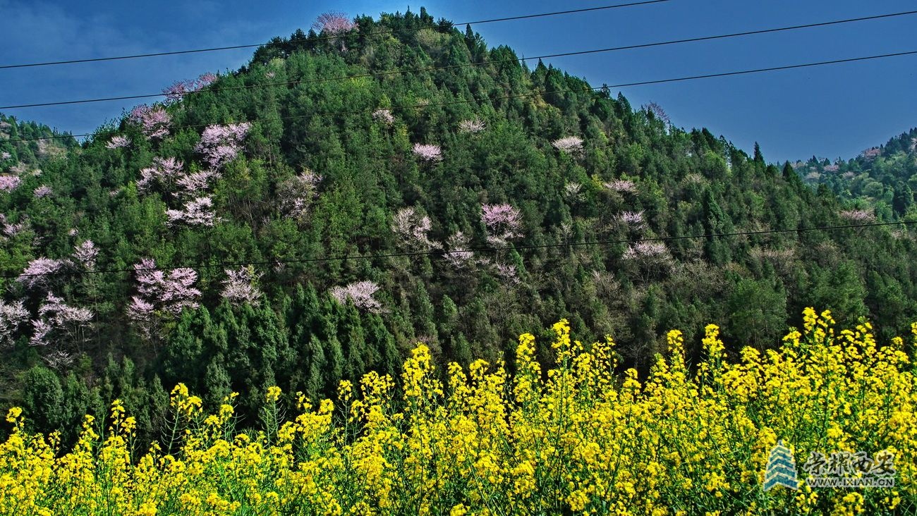 陈庄水库010.JPG