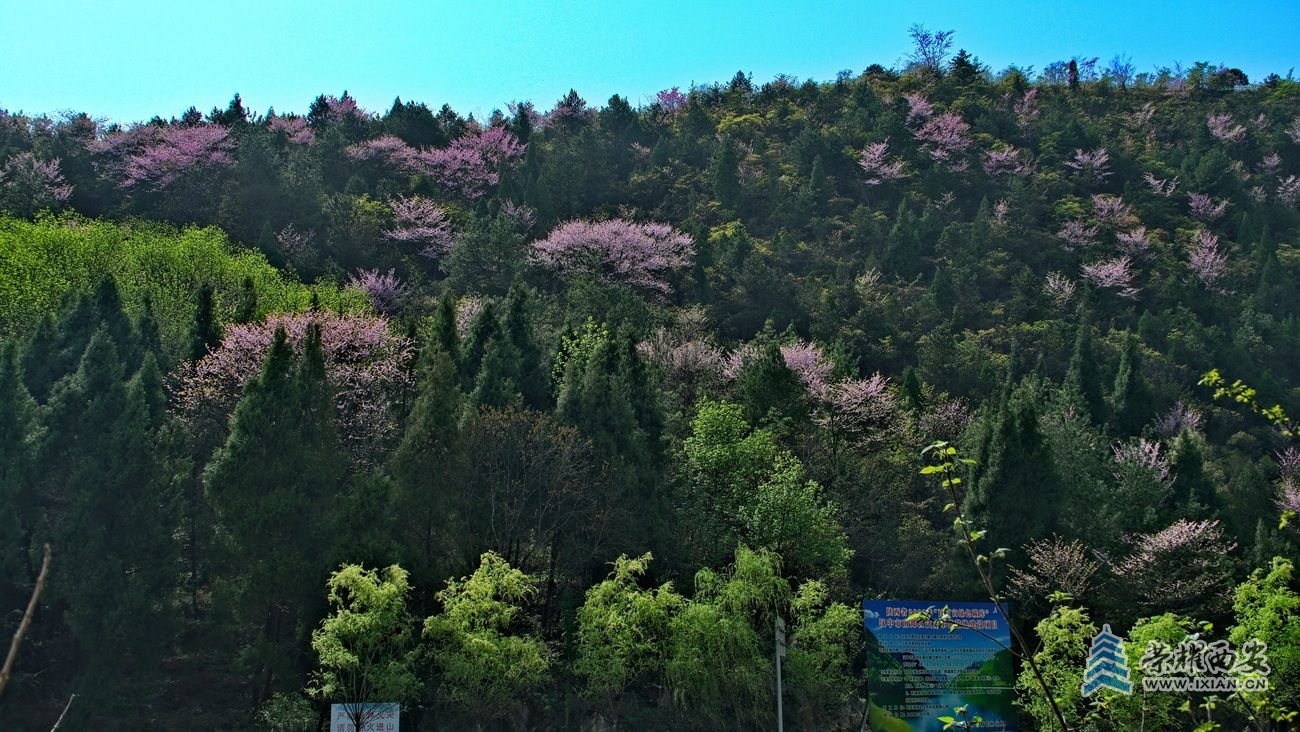 陈庄水库029.JPG