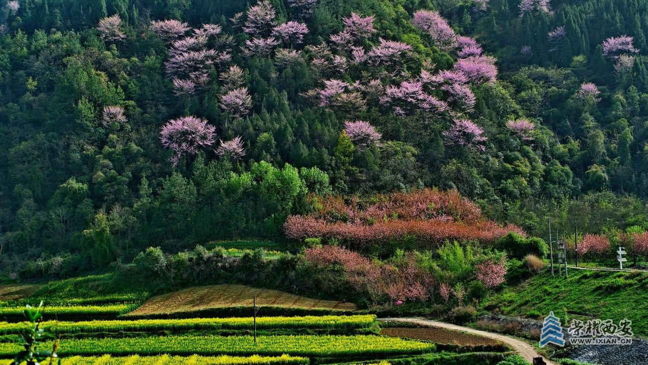 陈庄水库042.JPG