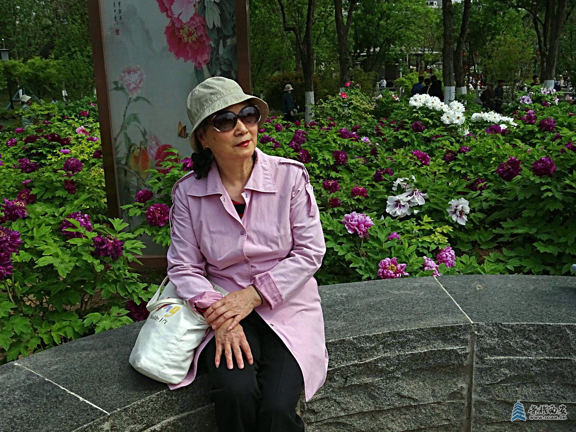 DSC01856.jpg