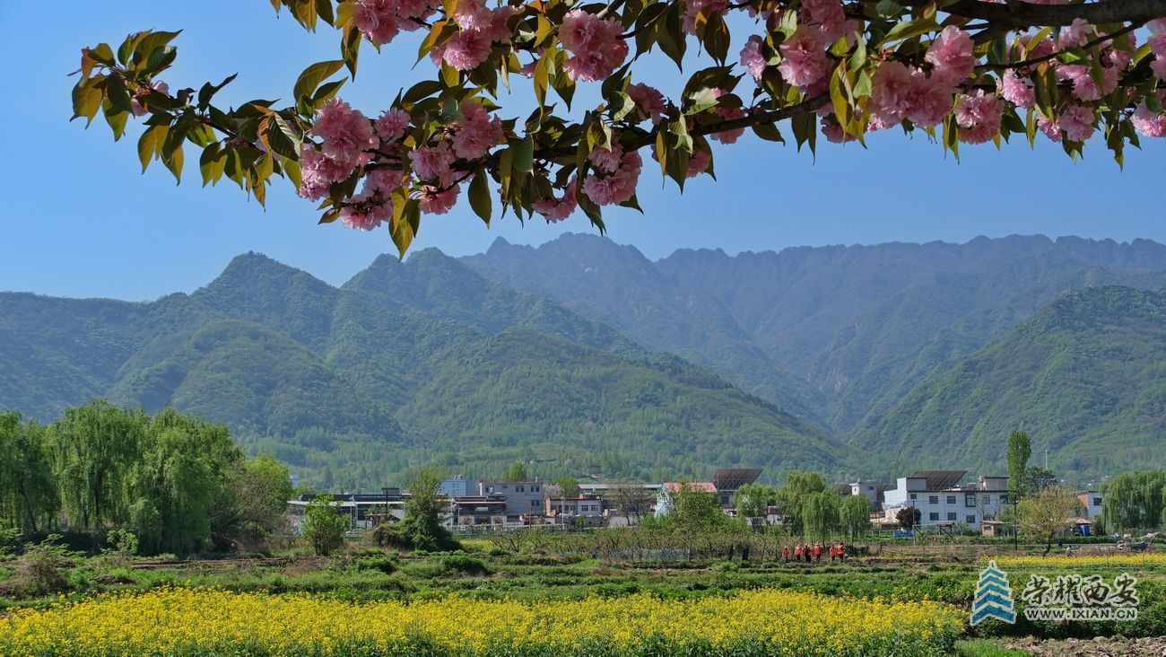 长安区035.JPG
