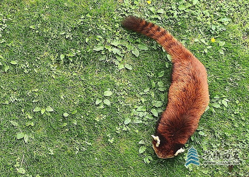 微信图片_20240421100238_副本.jpg