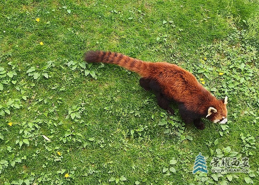 微信图片_20240421100244_副本.jpg