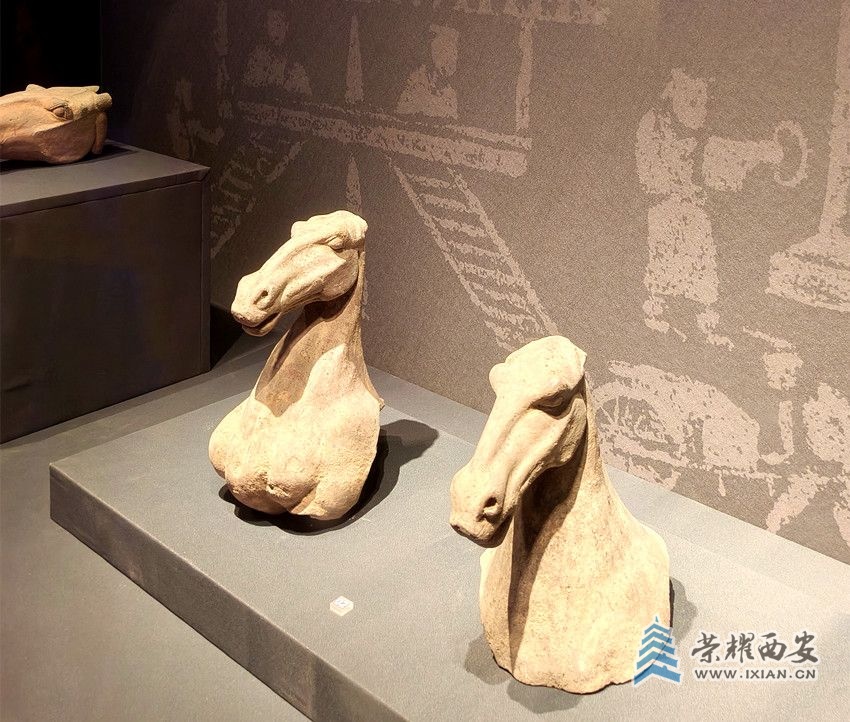 微信图片_20240519211351_副本.jpg