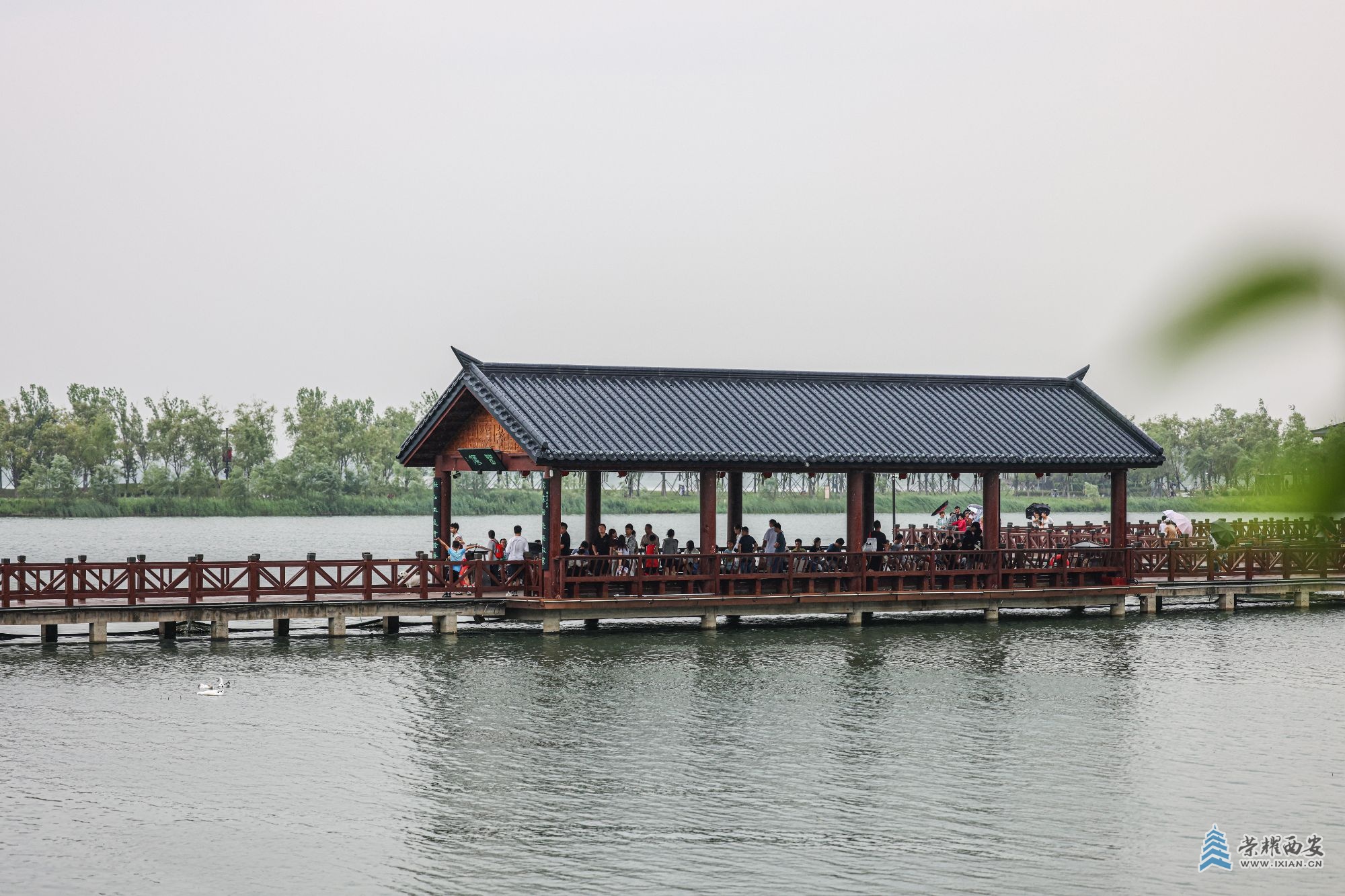 0S8A9067.jpg