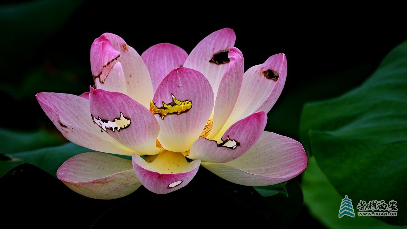 桃花潭008.JPG