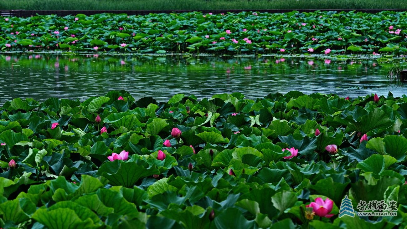 桃花潭024.JPG