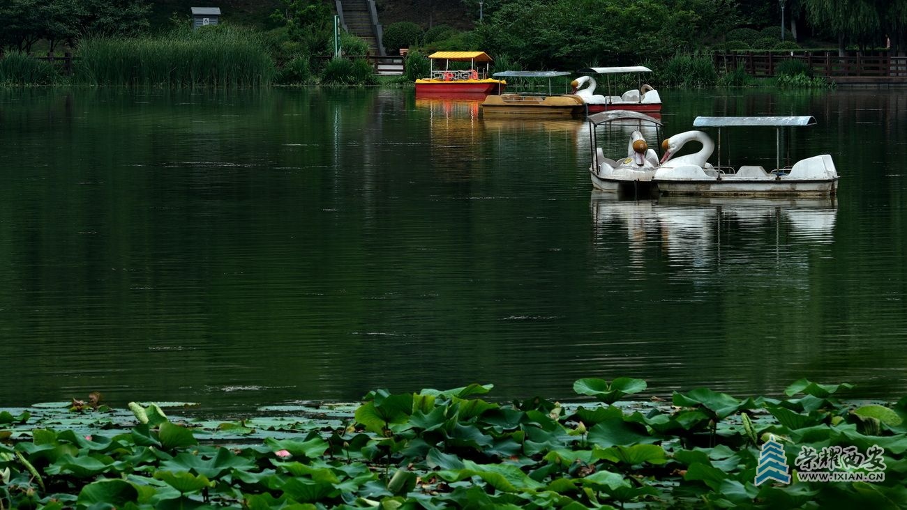 桃花潭029.JPG