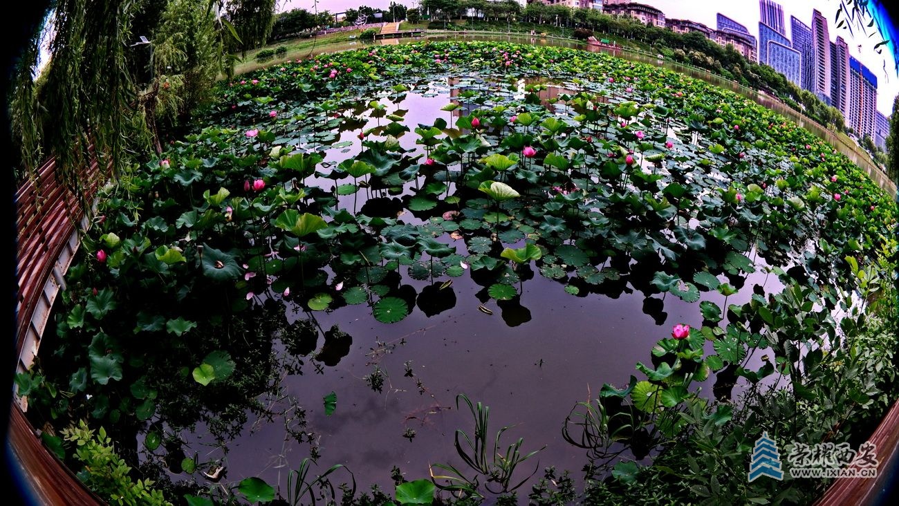 桃花潭027.JPG