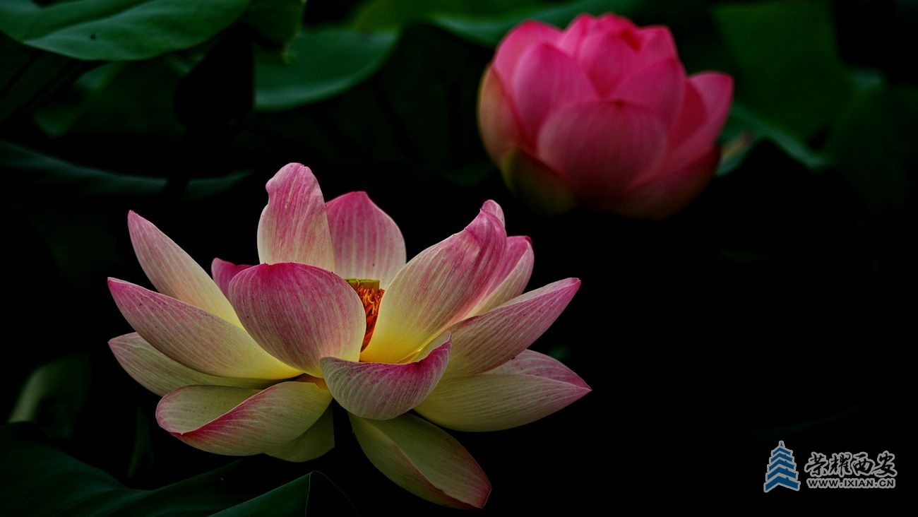 桃花潭028.JPG