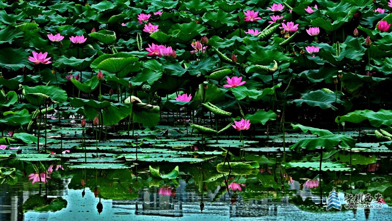 桃花潭030.JPG
