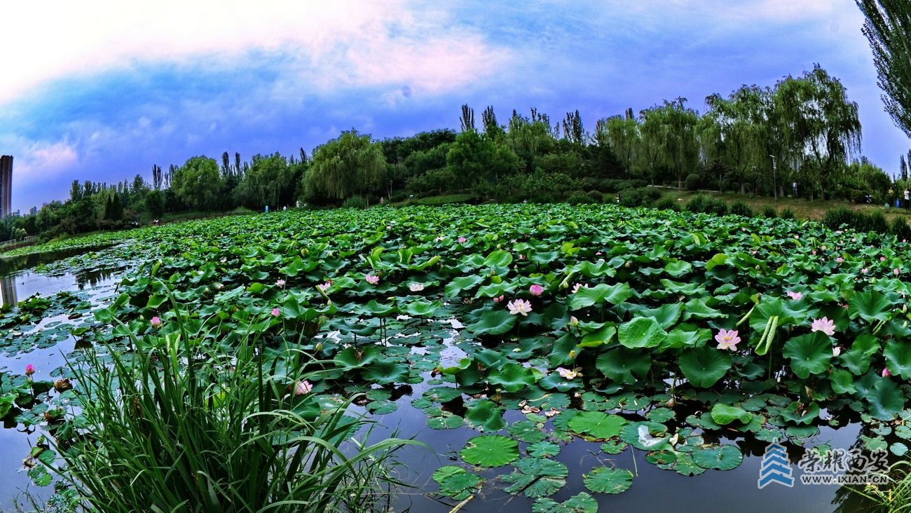 桃花潭033.JPG