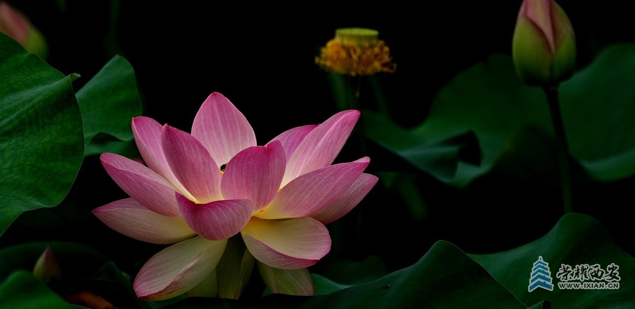 桃花潭037.JPG
