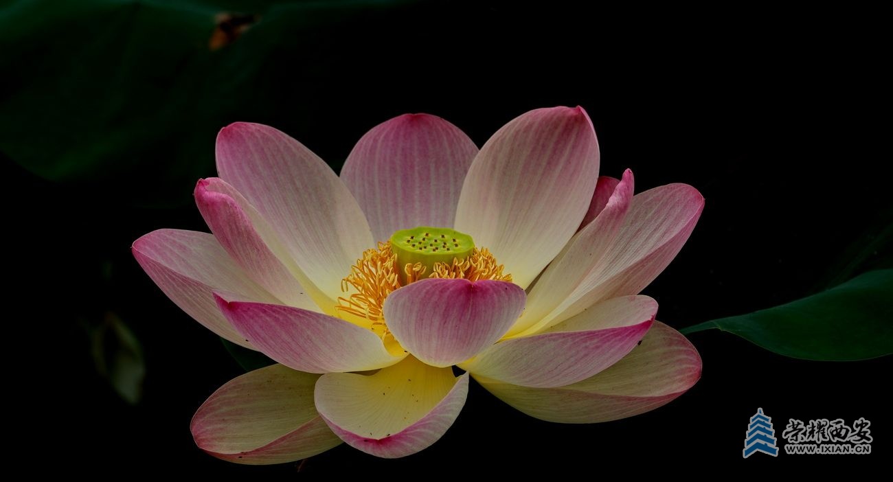 桃花潭041.JPG