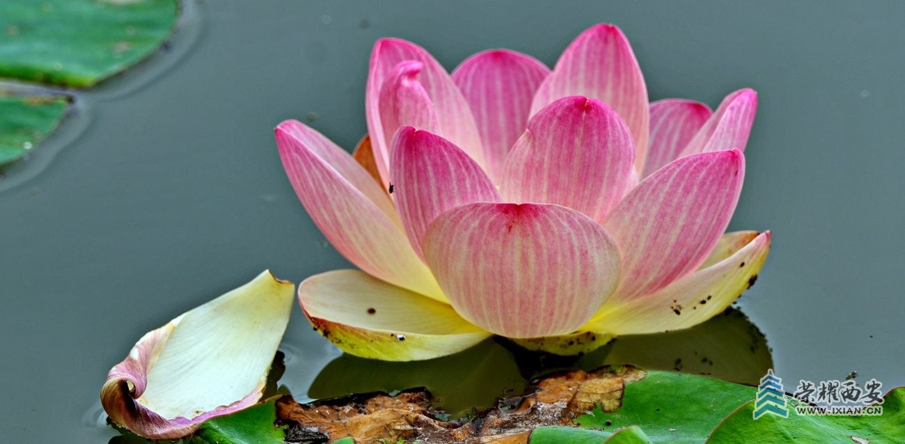 桃花潭042.JPG