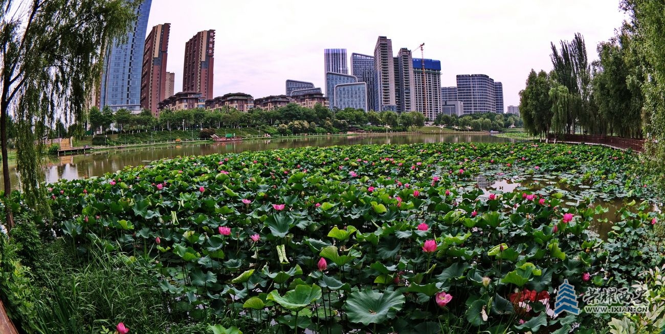 桃花潭048.JPG