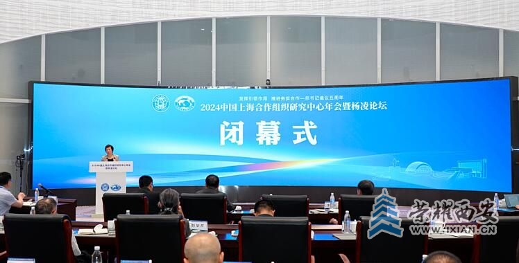 QQ截图20240615125711.jpg