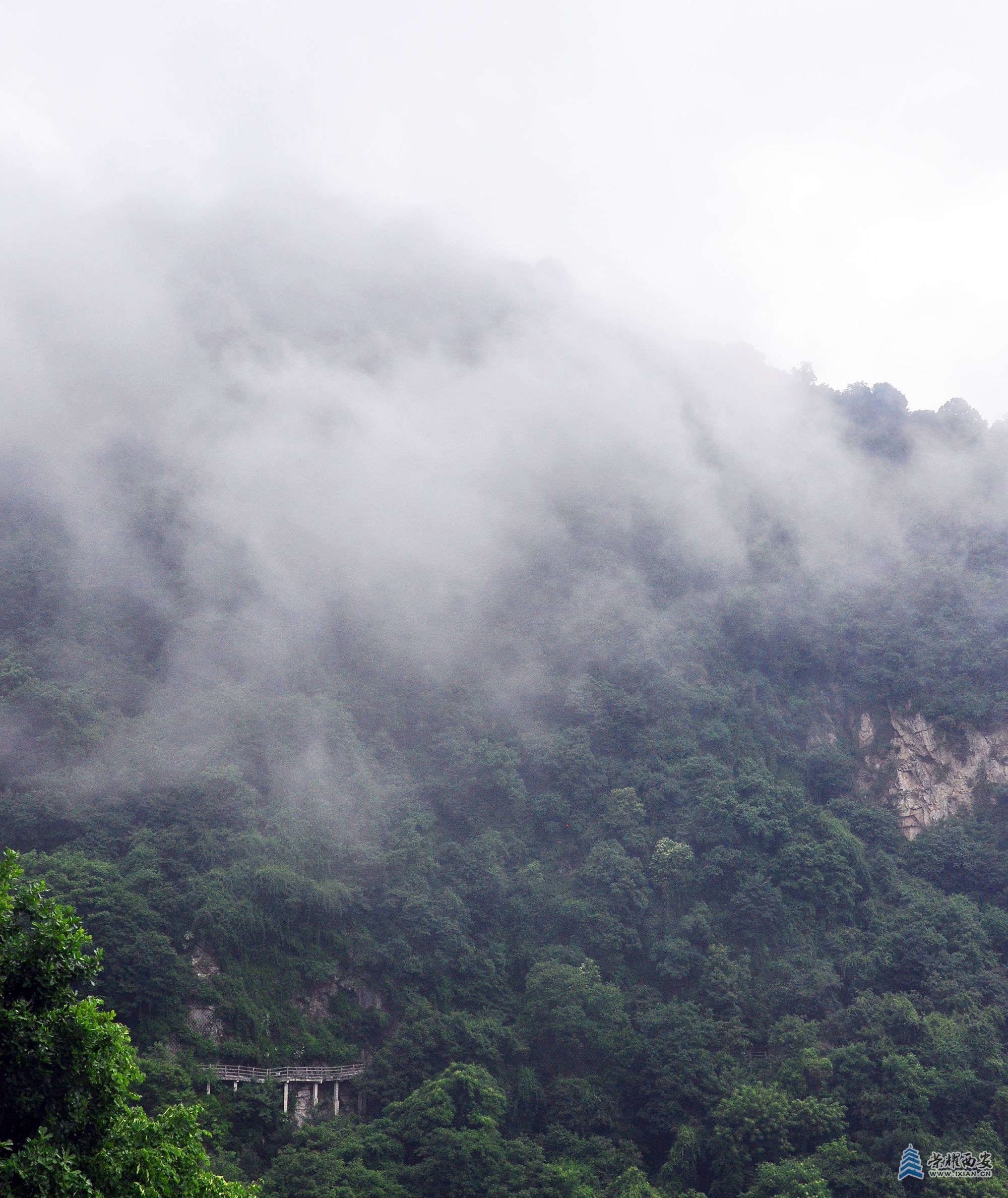 DSC_0528.JPG
