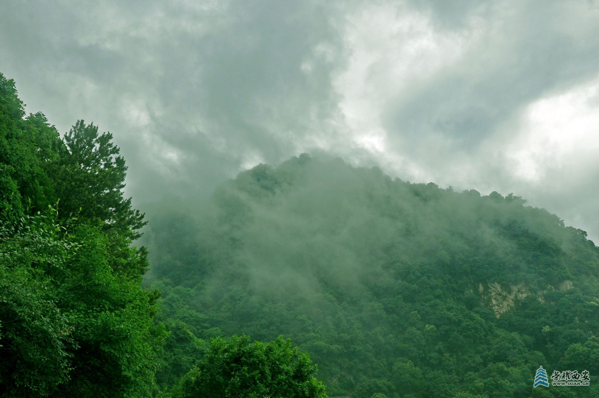 DSC_0532.JPG